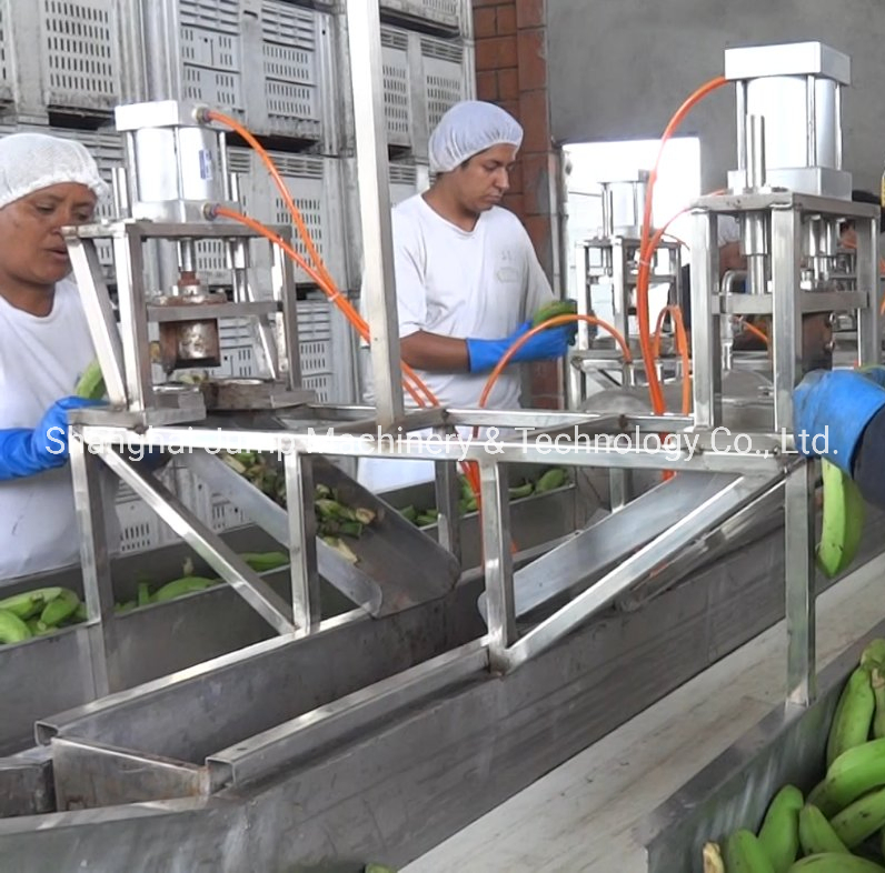 Modern Pickled Cucumber Processing Line Hygiene Fermentation and Bottling Machines