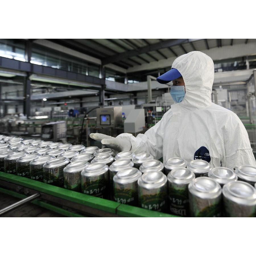 Belt Conveyer/Fruits and Vegetables Conveying System/Chain and Flight Elevator