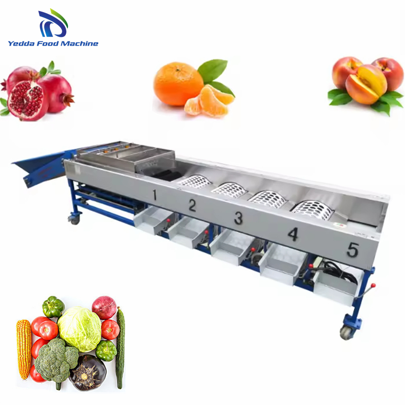 Advanced Premium Fruit Sorting and Packaging Technology System