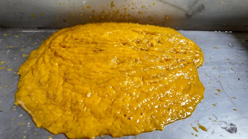 Mango Puree 2