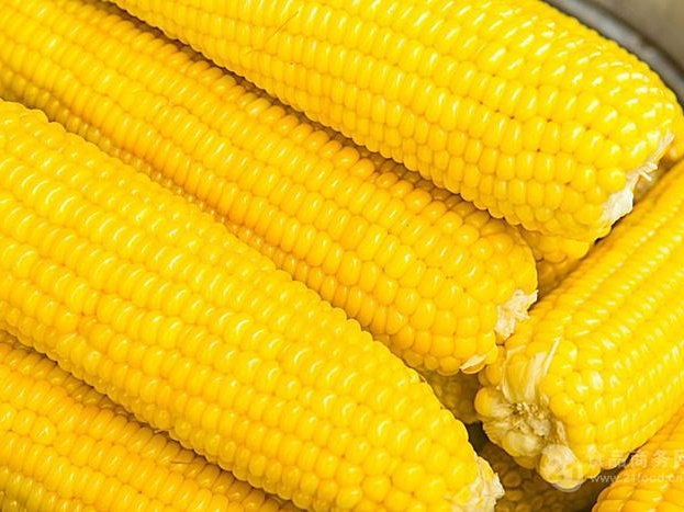 Lotus Root Slice Blanching Production Line, Corn, Bamboo Shoot Tip Fully Automatic Pre-Cooking Machine