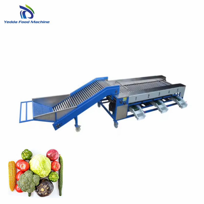 Advanced Premium Fruit Sorting and Packaging Technology System