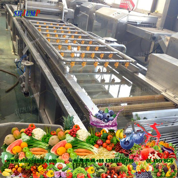Brush Washer/Fruits and Vegetables Cleaning System