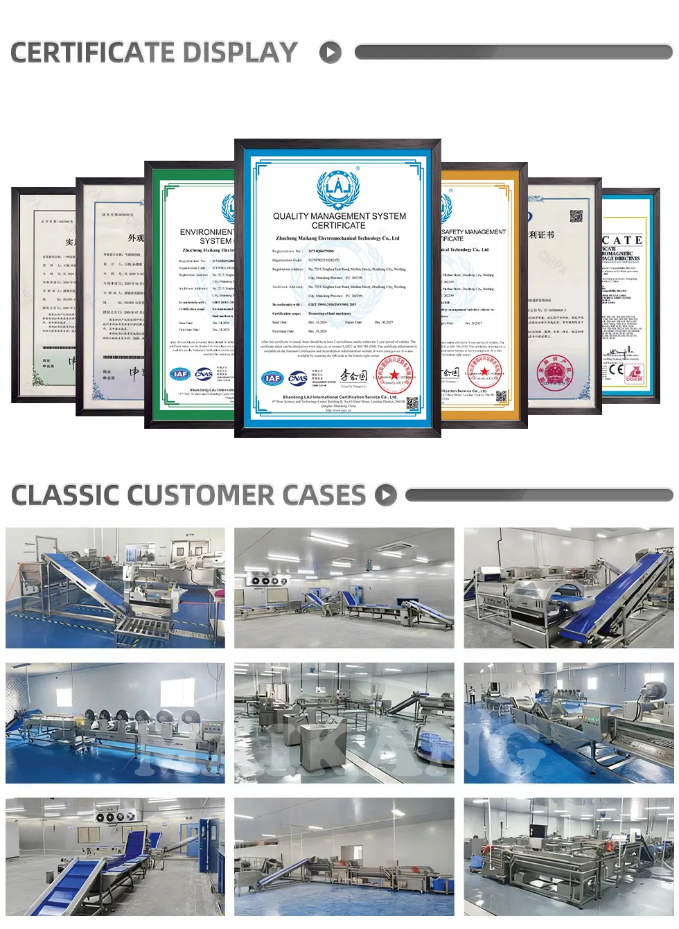 Fully Automatic Vegetable Shellfish Brush Peeling Cleaning Machine Parallel Roller Coconut Corn Apple Kiwi Fruit Food Washing Equipment