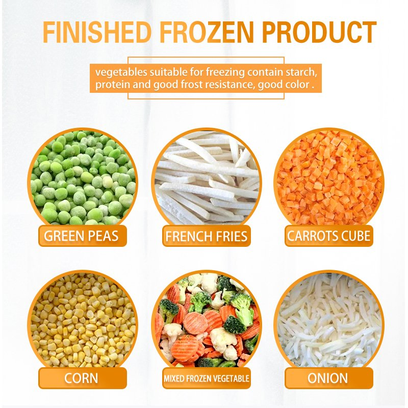 TCA High Quality Fruit and Vegetable Quick Freezing Line IQF Tunnel Multi Vegetables Processing Line