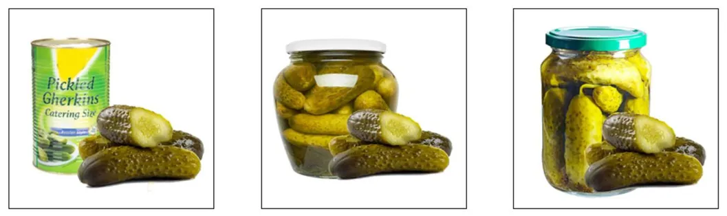 Pickles Production Line