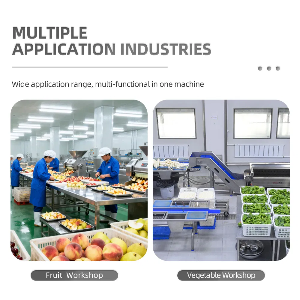 Professional Fruit Pulping Equipment Industrial Juicer Tomato Mango Apple Avocado Juicing Machine