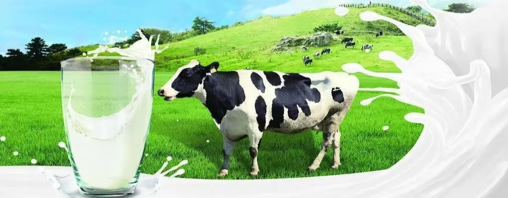 Automatic Dairy Milk Pasteurization Production Line