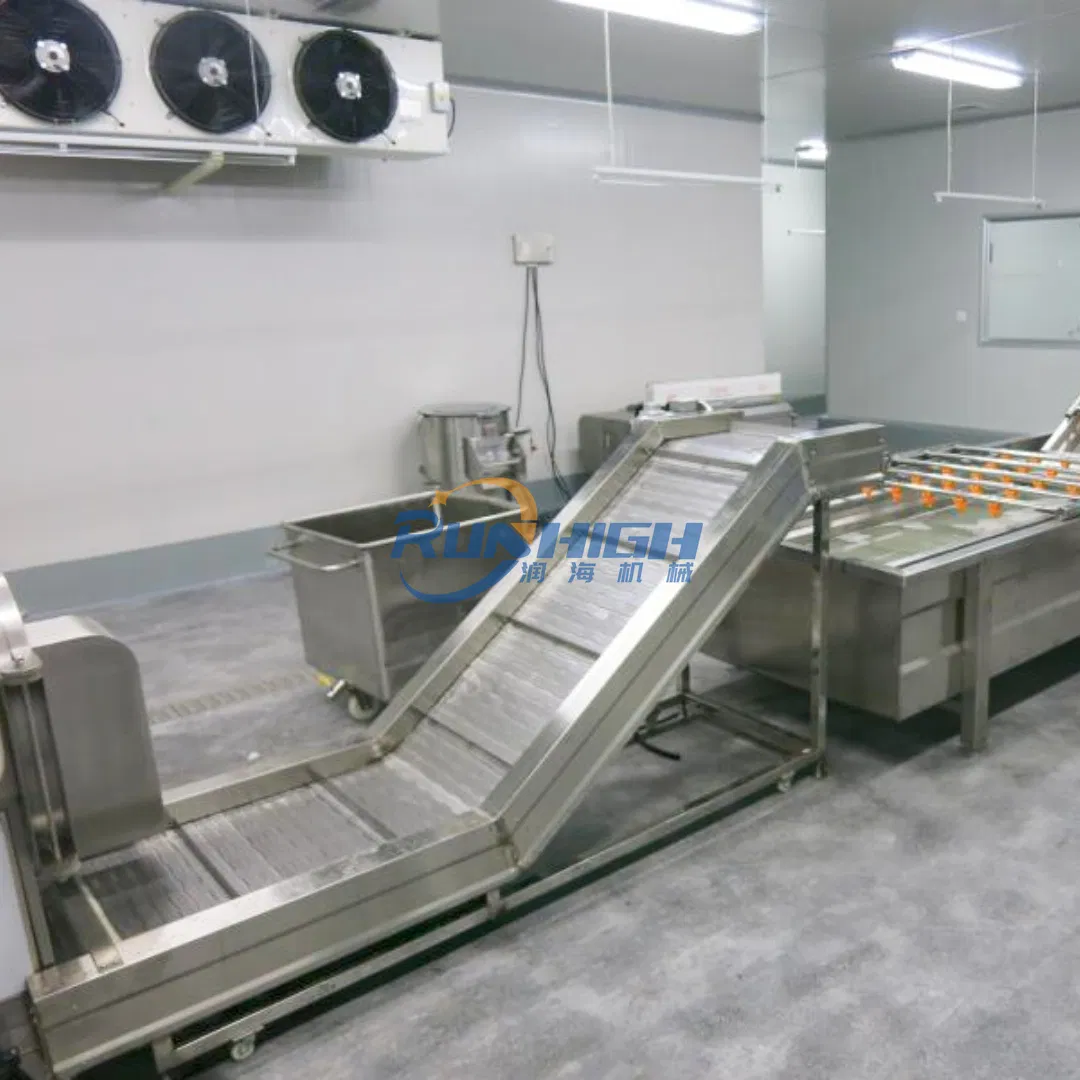 Bag Cleaning and Drying Line Also Used for Fruit and Vegetables