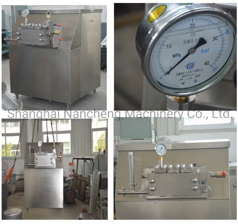 Homogenization Process