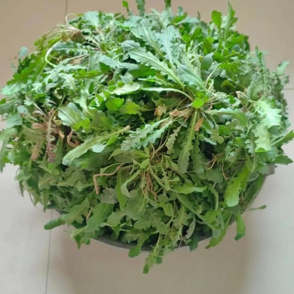 Lotus Root Slice Blanching Production Line, Corn, Bamboo Shoot Tip Fully Automatic Pre-Cooking Machine