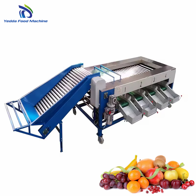 Premium Stainless Steel Produce Sorting System for Efficient Sorting