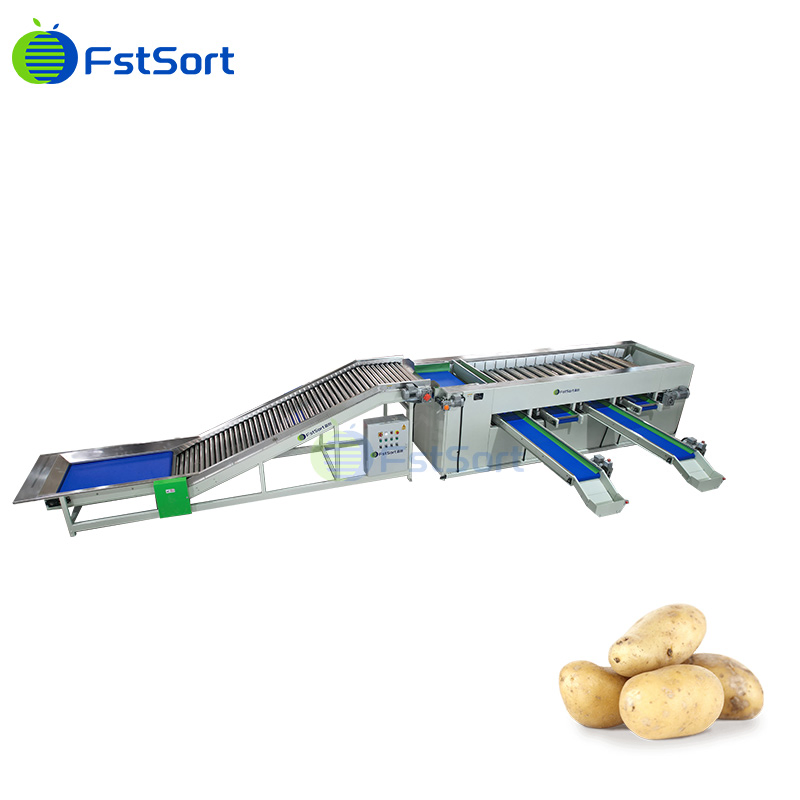 Sorting and Grading of Fruits and Vegetables, Automatic Potato Sorting and Packing System, Onion Sorting Automation