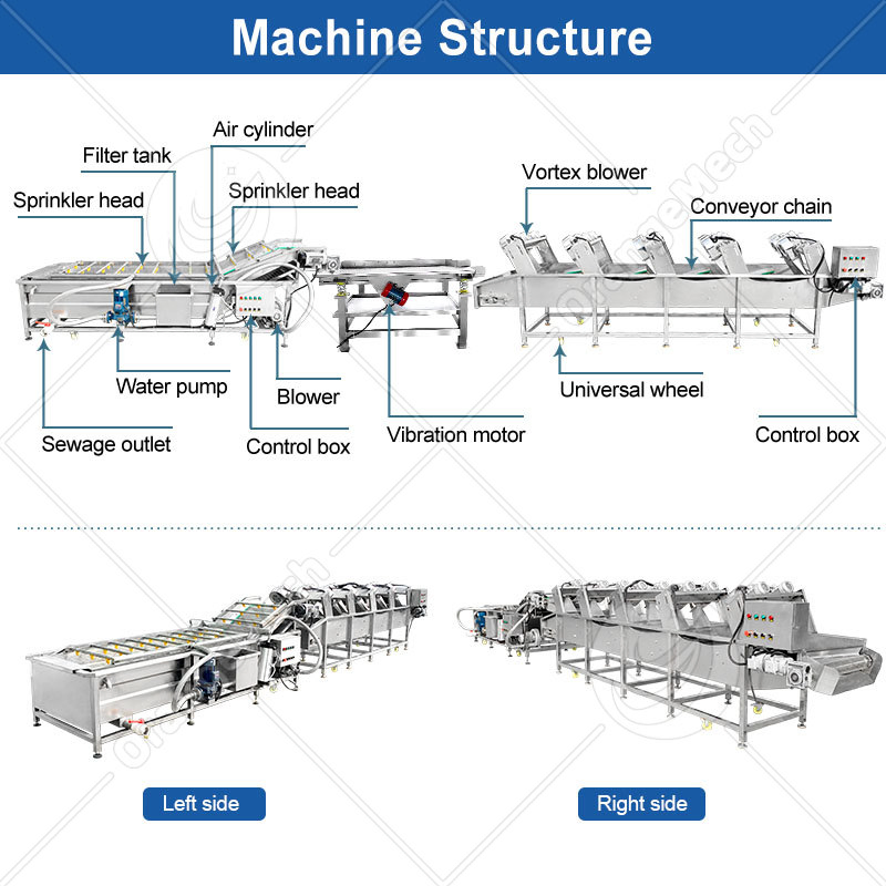 Mango Date Fruit Avocado Cleaning Potato Vegetable Wash and Peeling Cut Slice Grade Dying Wax Sort Machine