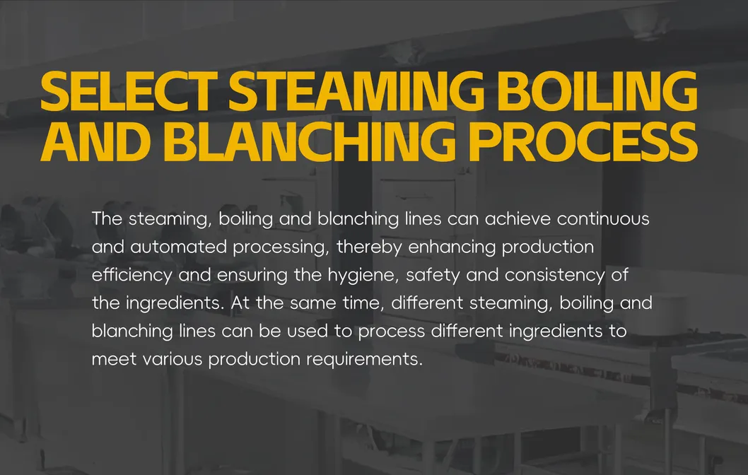 Steaming Boiling and Blanching Line 6