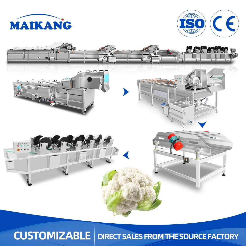 Steam Heating Root Vegetable Blancher Mushroom Hot Water Blanching Machine Diced Carrot Washing Blanching Line for Pet Food