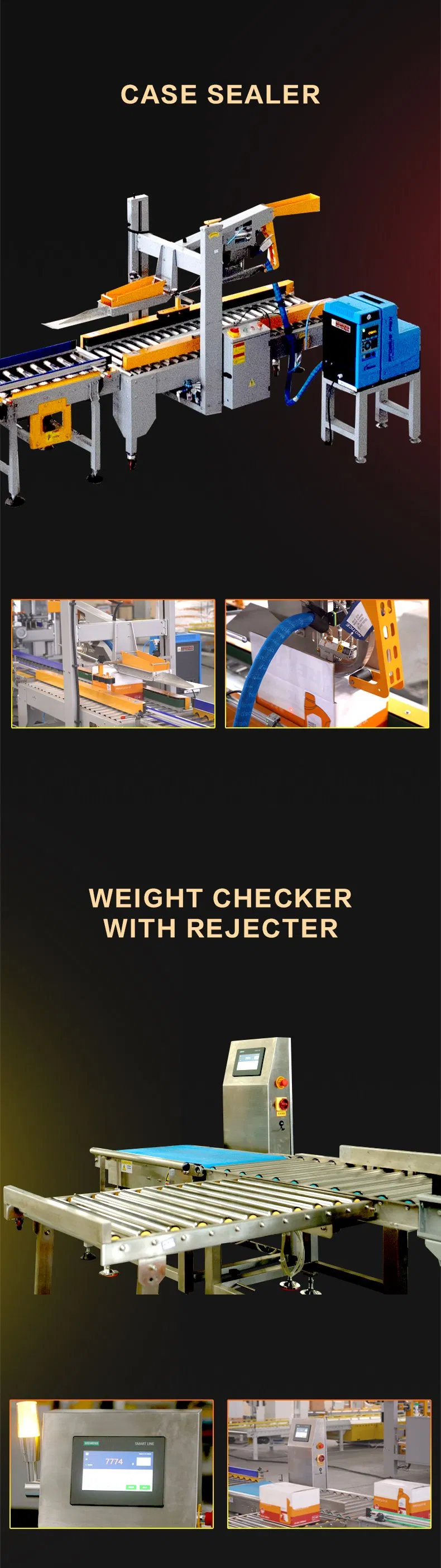 Case Packing System 6