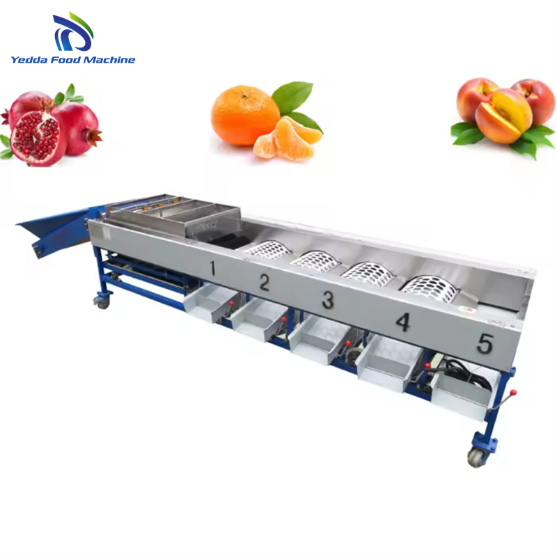 Premium Stainless Steel Produce Grading System for Quality Control