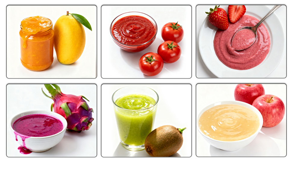 High Capacity Juicer Extractor Pulping Juicing Machine with Fruit Skin Remove Seed Separation for Juice Processing Machine