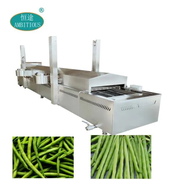 Continuous blanching machine