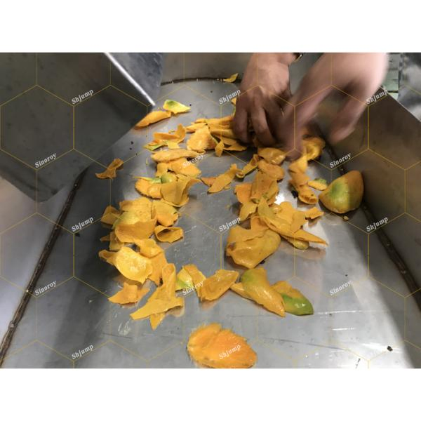 Mango Juice Extractor Mango Juice Filtration System