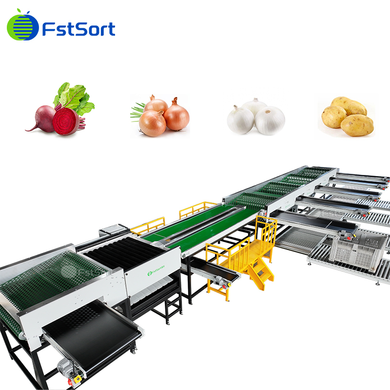 Sorting and Grading of Fruits and Vegetables, Automatic Potato Sorting and Packing System, Onion Sorting Automation