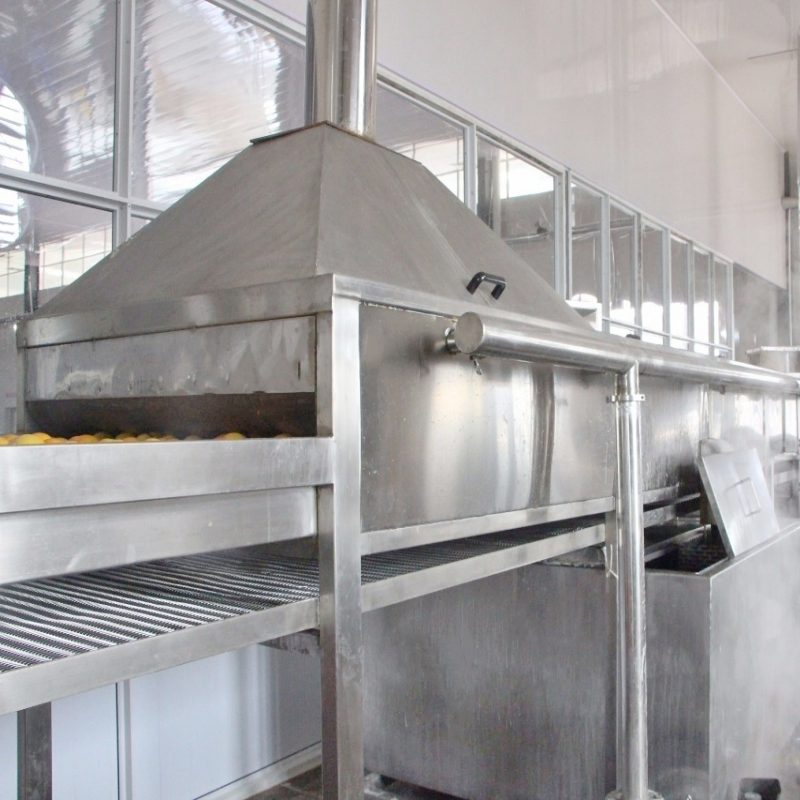 High Quality Canned Chick Beans Production Line Green Peas Blanching Cooling Canning Plant