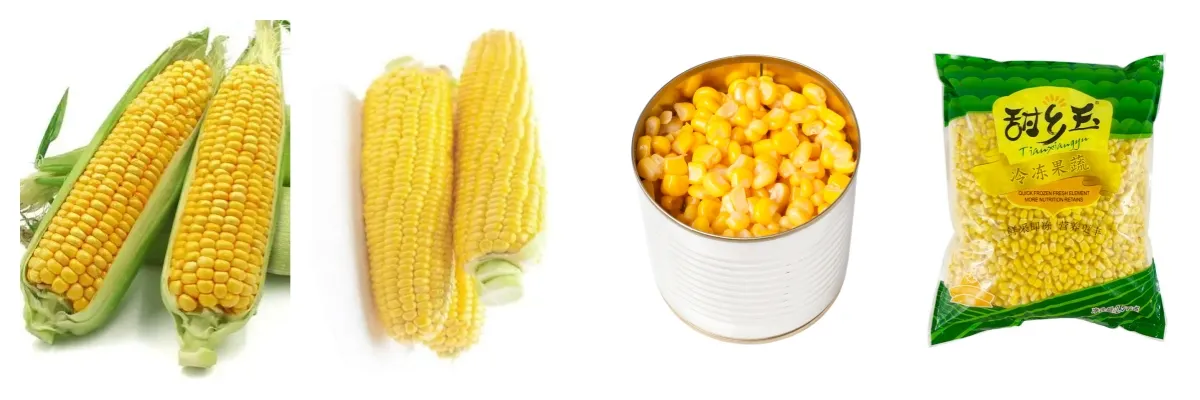 Sweet Corn Processing Overview
