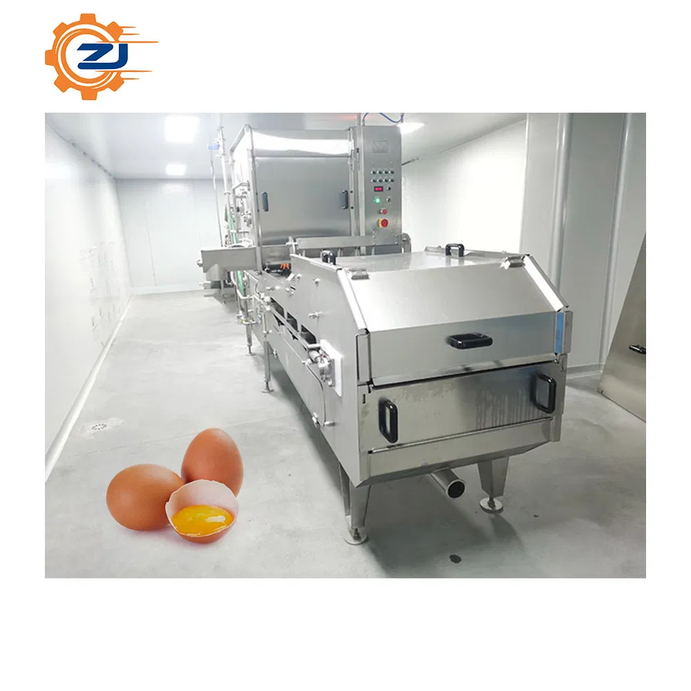 Advanced Egg Liquid Processing Equipment for Food Manufacturing