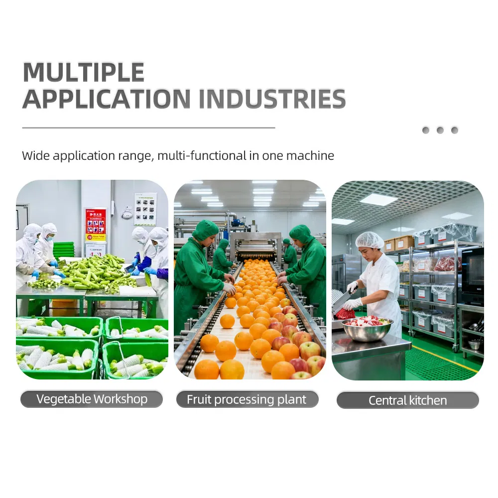 High Efficiency Fruit Vegetable Blanching Cooling Line for Boiling Beef and Pork