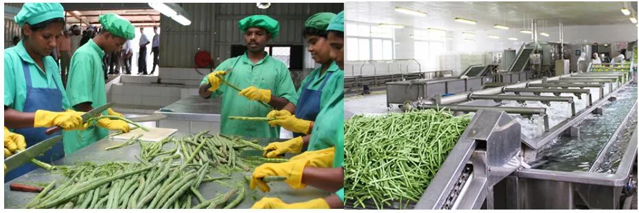 Processing Equipment Detail 1