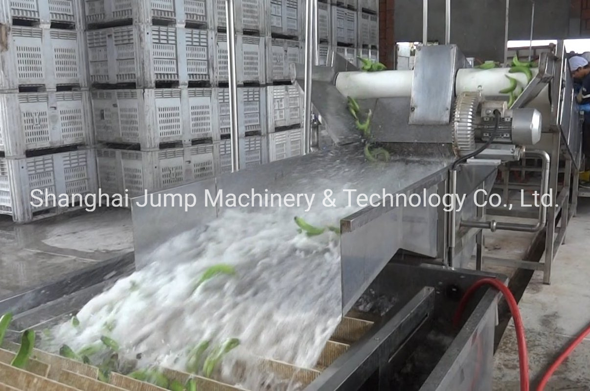 Modern Pickled Cucumber Processing Line Hygiene Fermentation and Bottling Machines