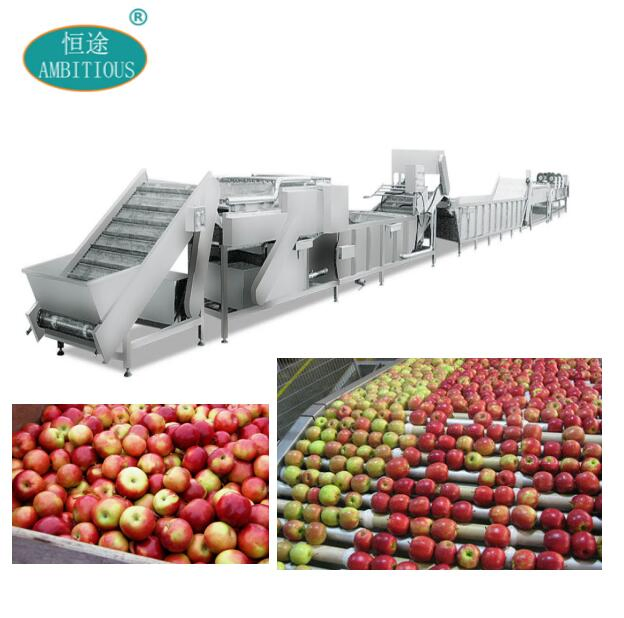 Automatic Vegtable Cleaning Line Fruit Processing Line
