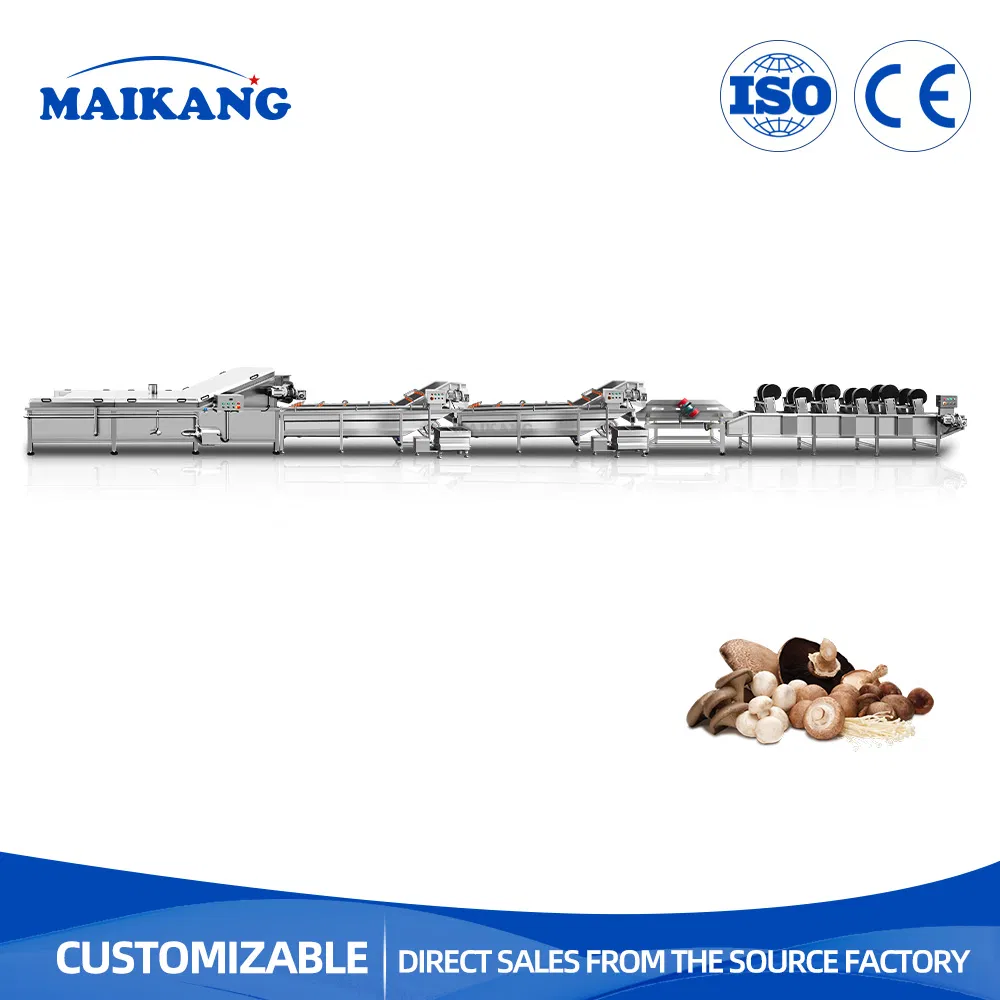 Food Grade Stainless Steel Vegetable Kelp Cleaning and Blanching Cooling Line for Vegetable Factory