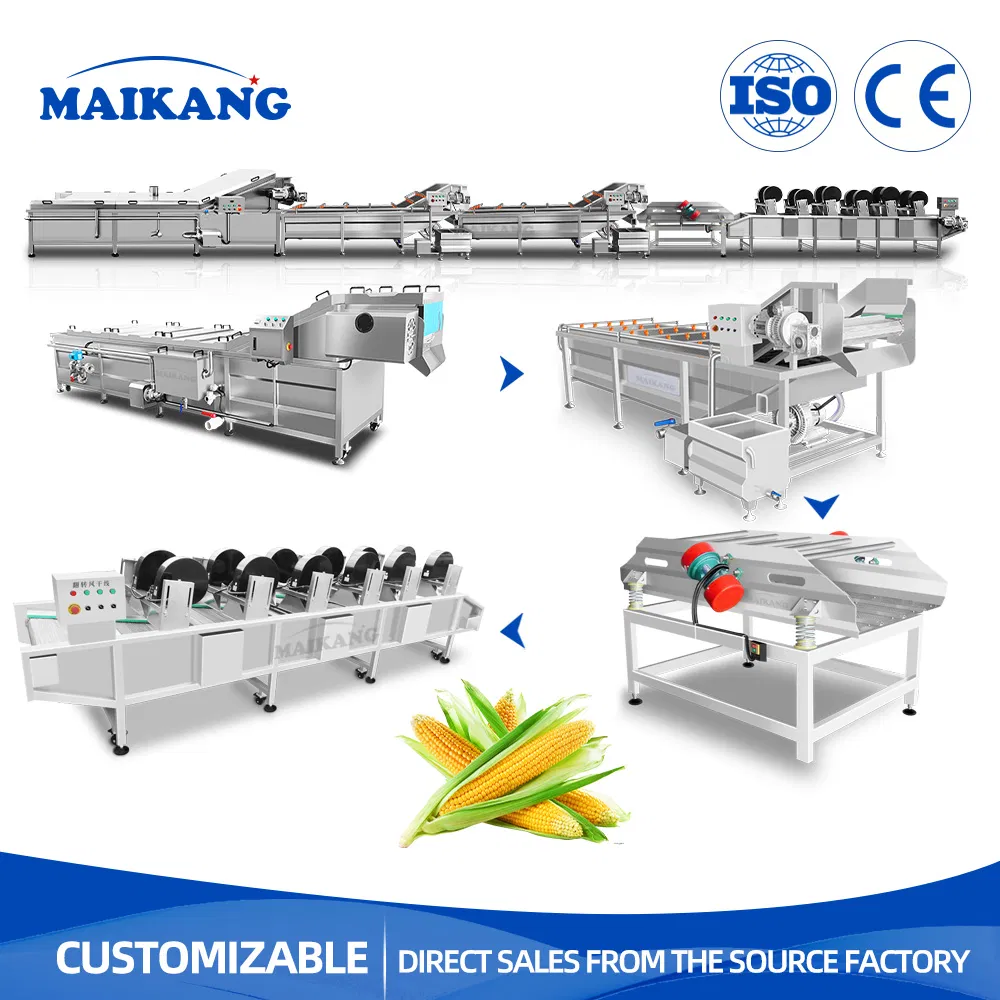 Industrial Customized Vegetable Fruit Blanching Steaming Cooling Air Drying Line for Food Processing