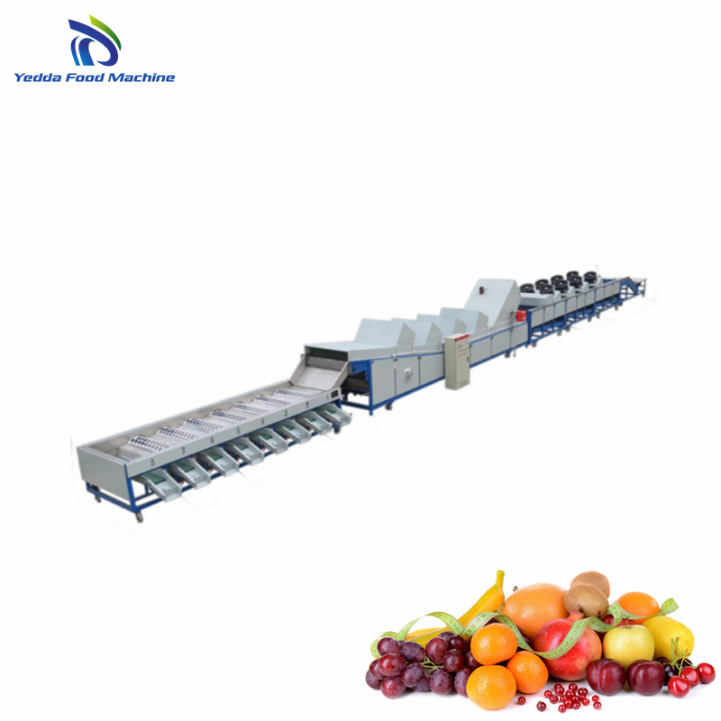 Advanced Automated Fruit and Vegetable Sorting System for Efficient Processing