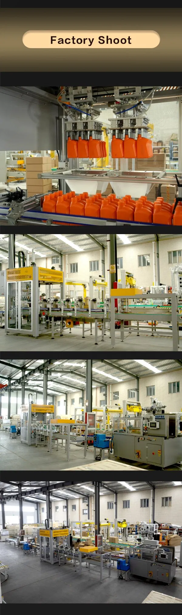 Case Packing System 7