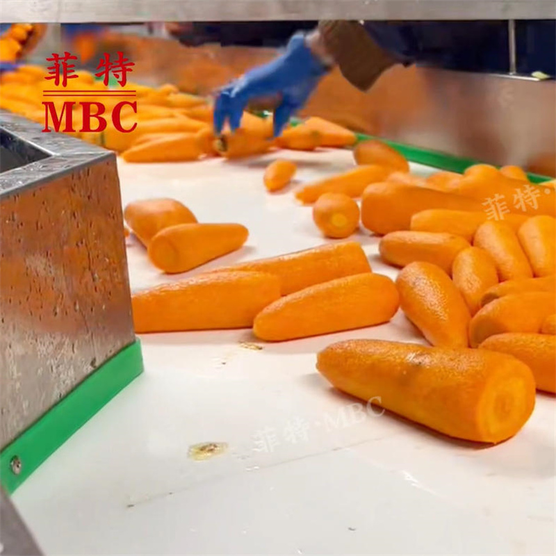 ZHUCHENG MBC &nbsp;Industrial Stainless Steel Potato Carrot Sweet Potato Beet High Cleanliness washing Peeling Equipment