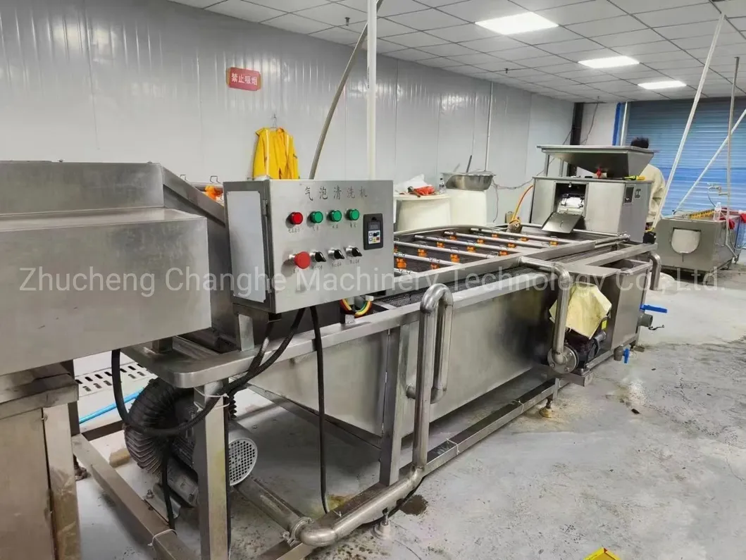 Cleaning and Peeling Equipment