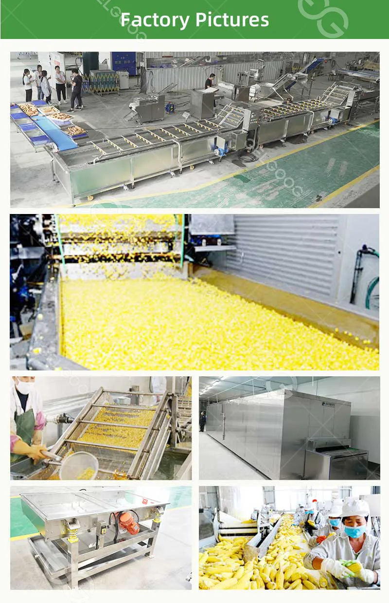 Sweet Corn Processing