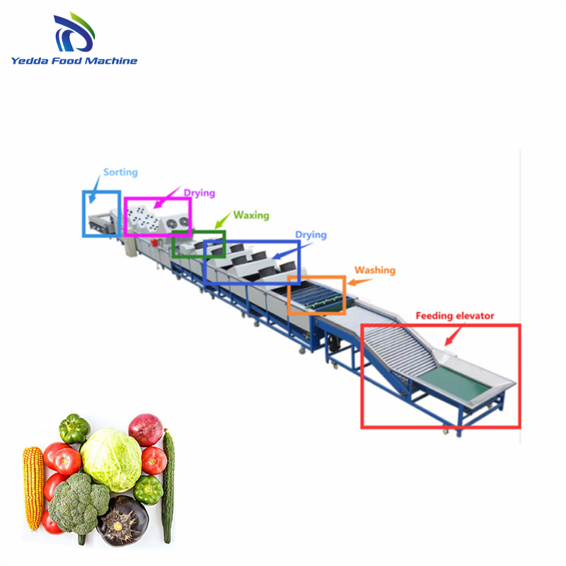 Advanced Automated Fruit and Vegetable Sorting System for Efficient Processing