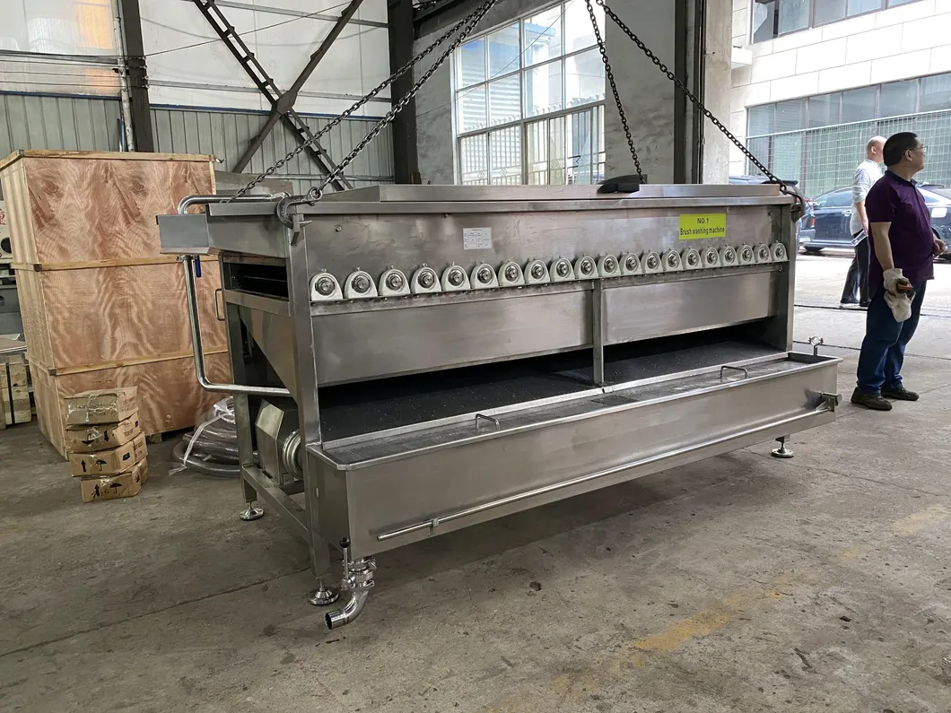 Fruit Cleaning Machine 1