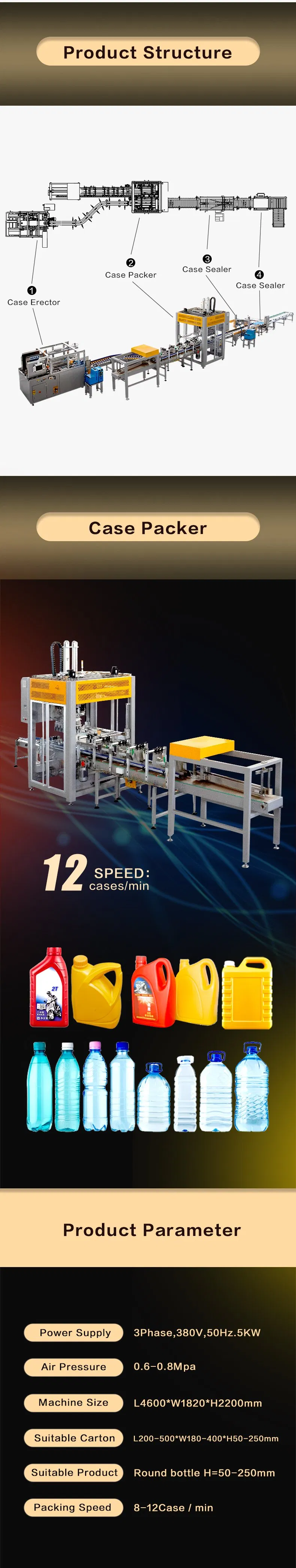 Carton Packer System 3