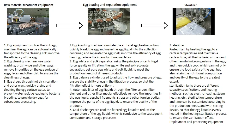 Egg Processing System 1