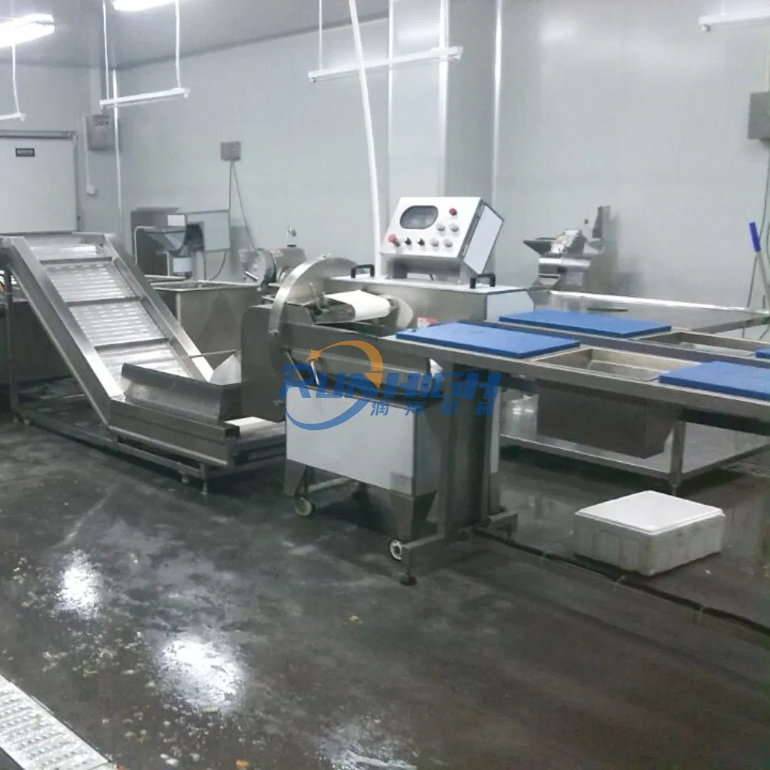 Bag Cleaning and Drying Line Also Used for Fruit and Vegetables
