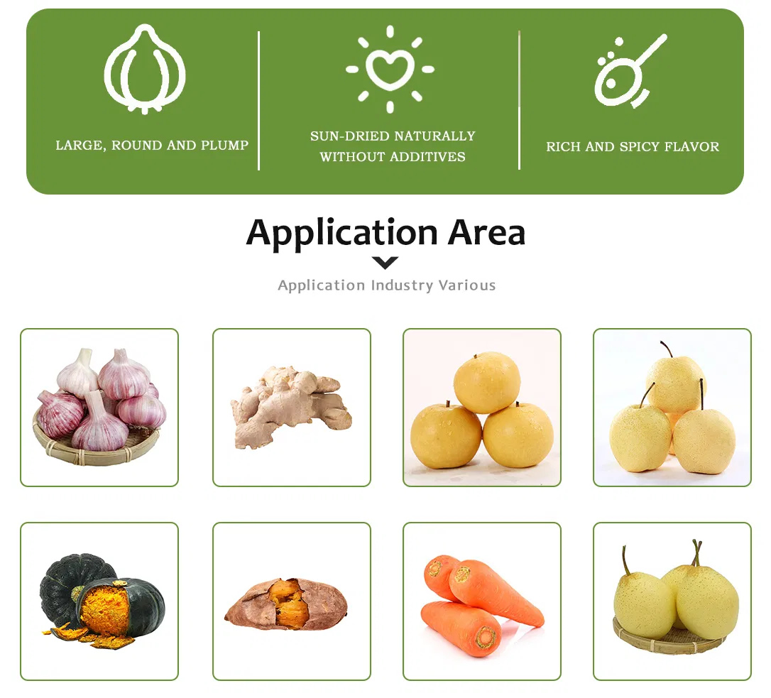 Export Quality Garlic