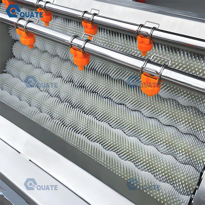 Potato Cleaning and Peeling Machine Potato Vegetable Slicer