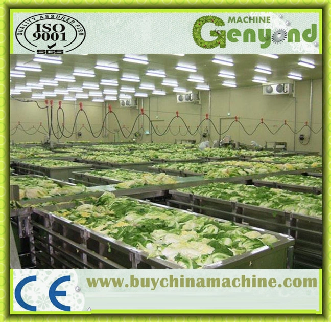 Hot Sale Pickled Vegetable Processing Line