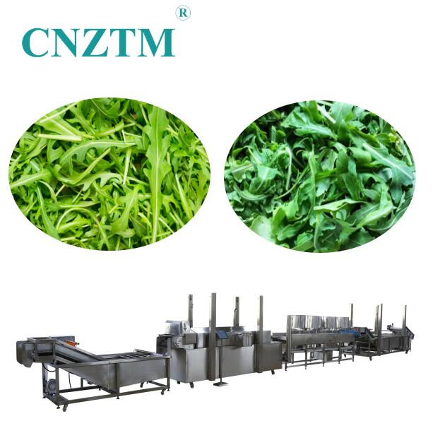 Automatic Vegetable Processing Line Salad Processing Line