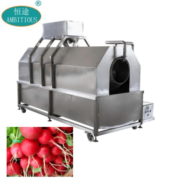 Carrot Ginger Radish Washing Machine Carrot Processing Line